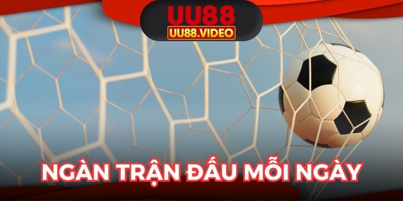 Trải nghiệm cá độ thăng hoa, ngàn trận đấu mỗi ngày