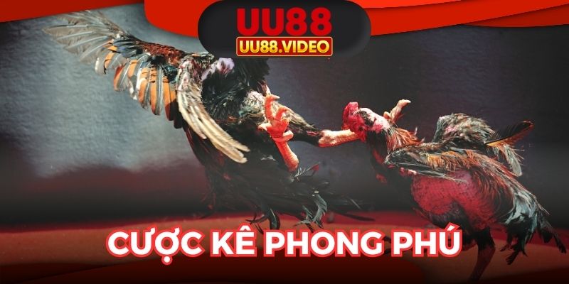 Cược kê phong phú, chiến thắng bùng nổ