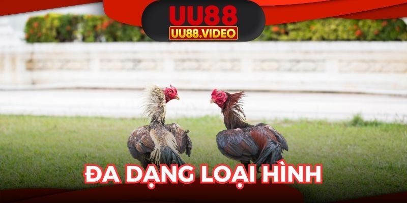 Đa dạng loại hình, kịch tính từng trận