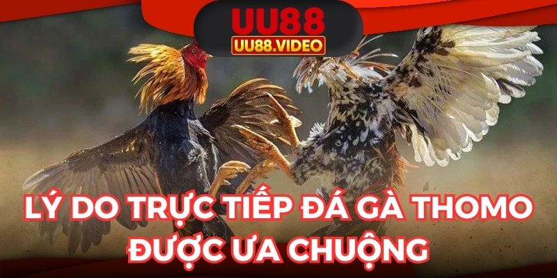 Lý do khiến bộ môn này được yêu thích bởi nhiều người chơi