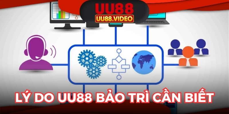 Lý do UU88 bảo trì hội viên cần biết