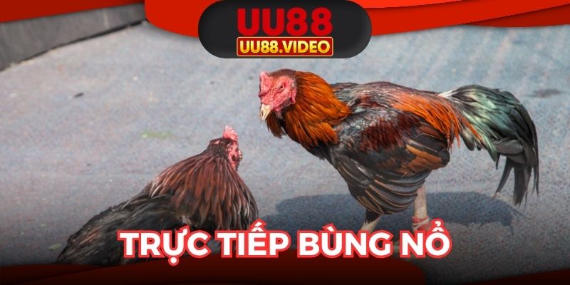 Trực tiếp bùng nổ, đấu trường quốc tế sôi động